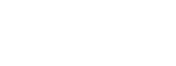 Proyección profesional